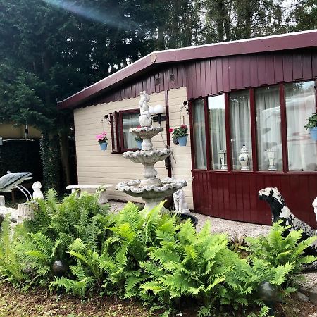 Retro Relax Resort Midden In Het Bos Op De Veluwe In Путен Екстериор снимка